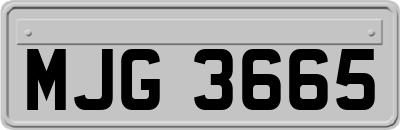 MJG3665