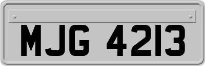 MJG4213