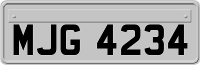 MJG4234