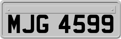 MJG4599