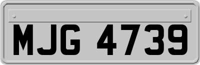 MJG4739