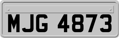 MJG4873