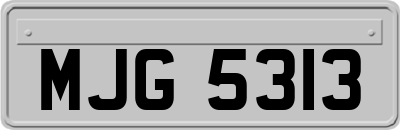 MJG5313