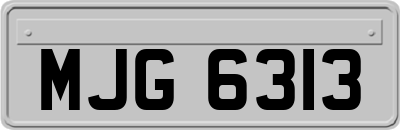 MJG6313