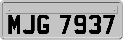 MJG7937