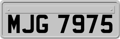MJG7975