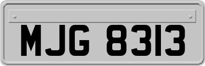 MJG8313