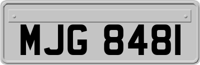 MJG8481