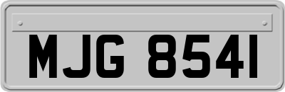 MJG8541