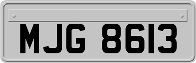 MJG8613