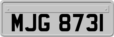 MJG8731