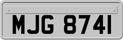 MJG8741