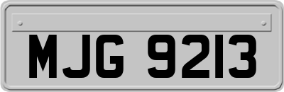 MJG9213