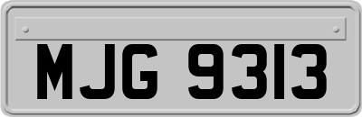 MJG9313