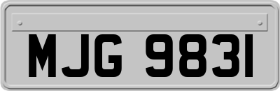MJG9831