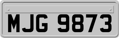 MJG9873