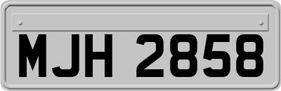 MJH2858