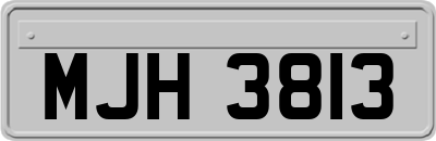 MJH3813