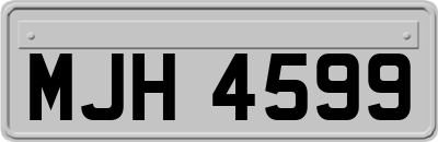 MJH4599