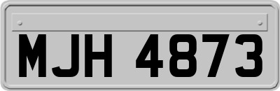 MJH4873