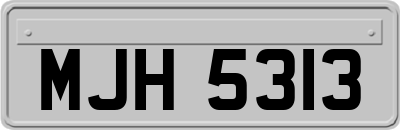 MJH5313