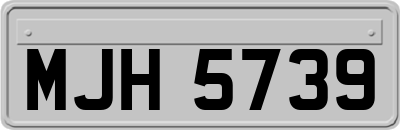 MJH5739