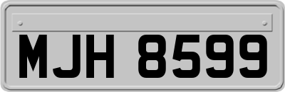 MJH8599