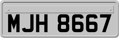 MJH8667