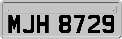 MJH8729