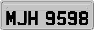 MJH9598