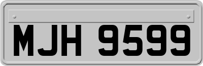 MJH9599