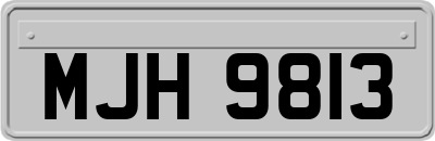 MJH9813