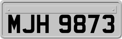 MJH9873
