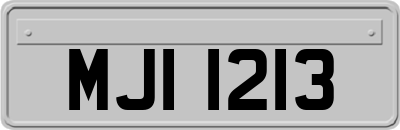 MJI1213