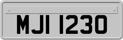 MJI1230