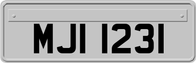 MJI1231
