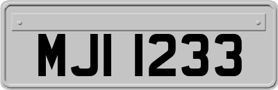 MJI1233
