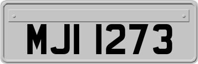 MJI1273
