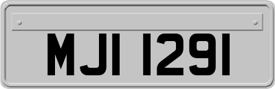 MJI1291