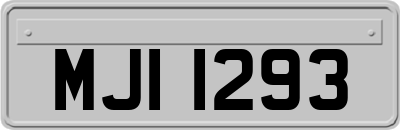 MJI1293