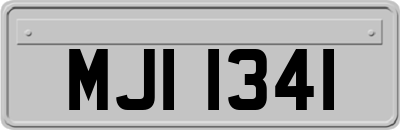MJI1341