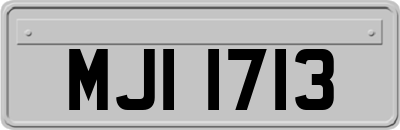 MJI1713