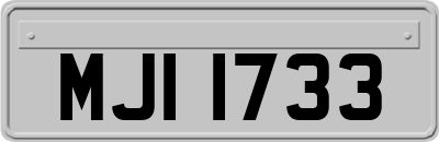 MJI1733