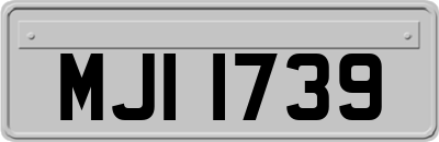 MJI1739