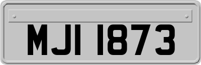 MJI1873