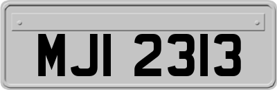 MJI2313
