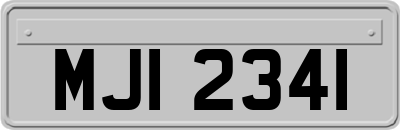 MJI2341