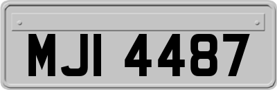 MJI4487