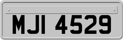 MJI4529