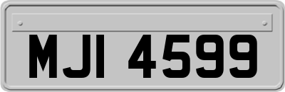 MJI4599